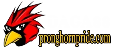 dola789 nhà cái
